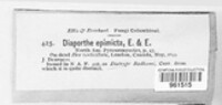 Image Associated With the Occurence
